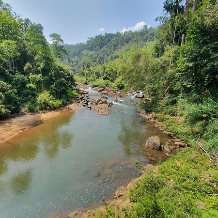 דניאיאה Rainforest River Bay מראה חיצוני תמונה
