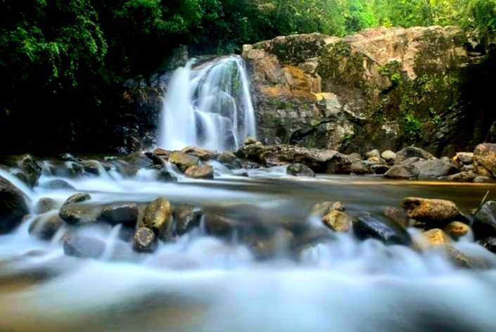 דניאיאה Rainforest River Bay מראה חיצוני תמונה