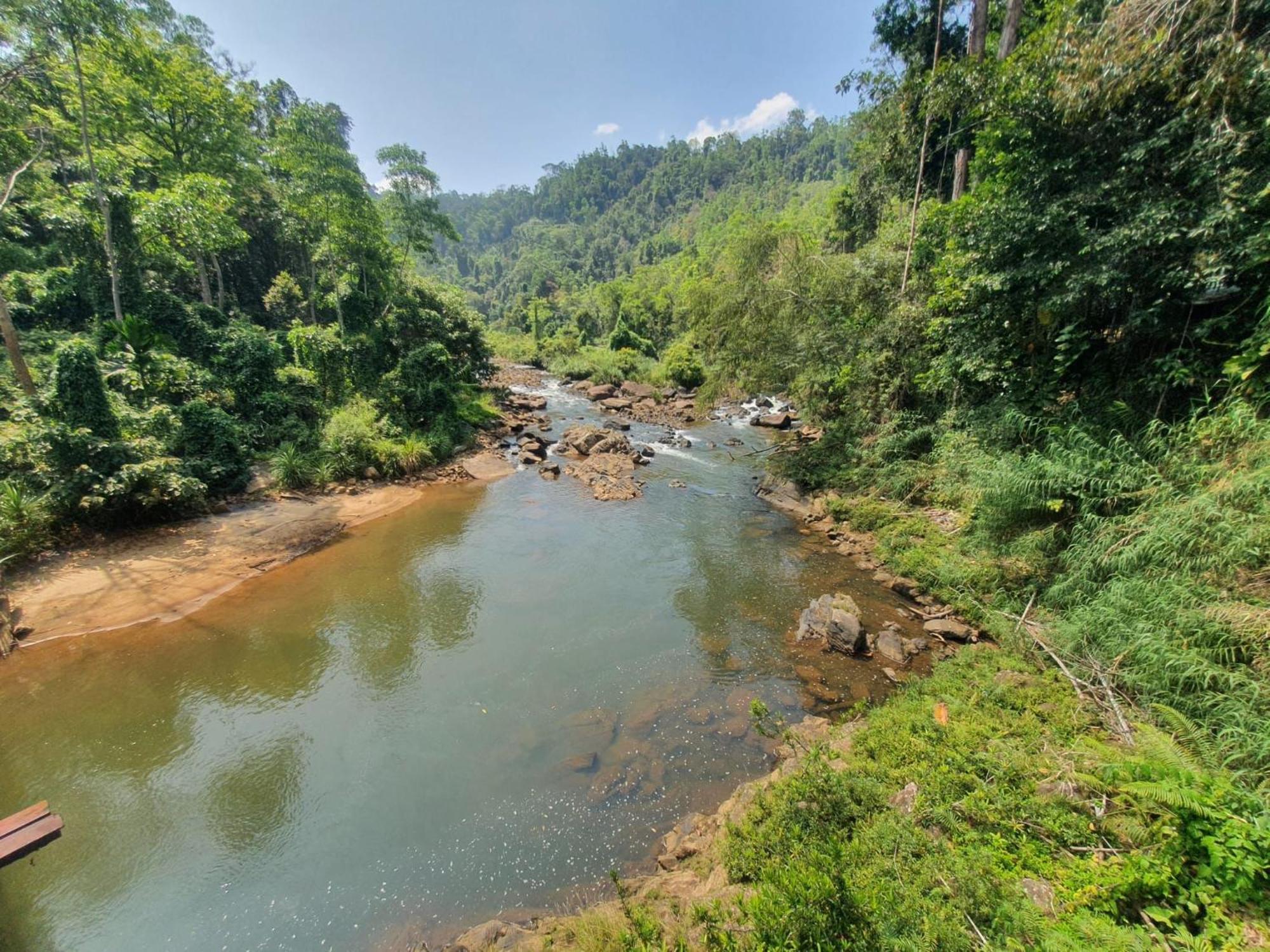דניאיאה Rainforest River Bay מראה חיצוני תמונה